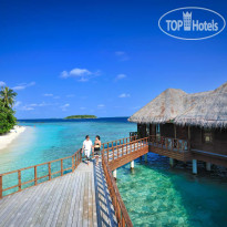 Bandos Maldives  
