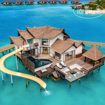 OZEN Reserve Bolifushi 