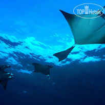 Dhigali Maldives