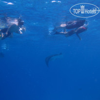 Kudafushi Resort & Spa 