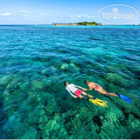 Reethi Faru Resort 