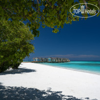 Cora Cora Maldives