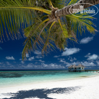 Cora Cora Maldives
