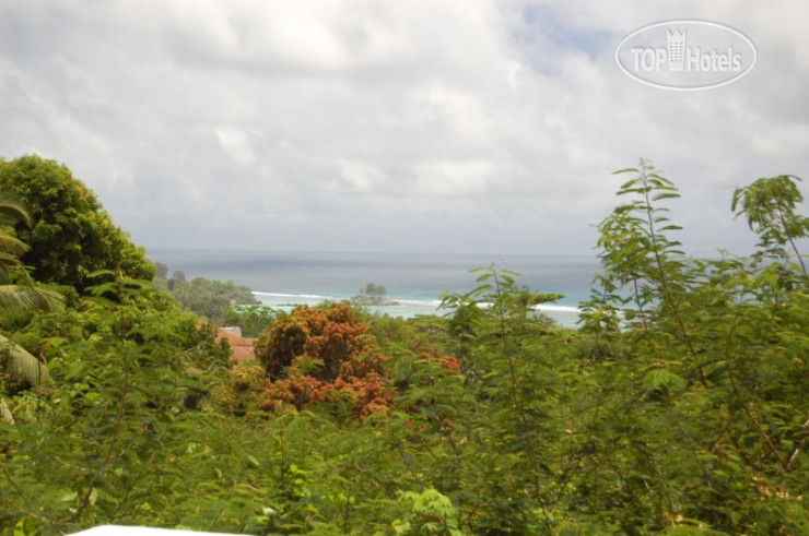 New photos from tourists Kokogrove Chalets 2*