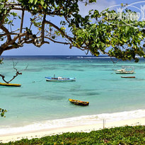 Pieds dans L Eau Holiday Apartment 