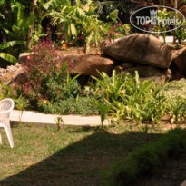 Evergreen Seychelles 