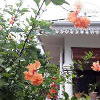 Coco Bay Villa