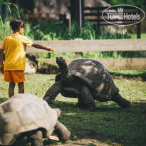 Raffles Seychelles