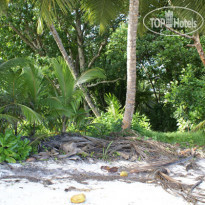 Dhevatara Beach