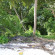 Dhevatara Beach 