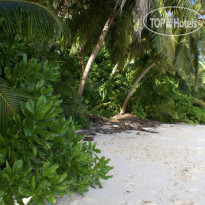Dhevatara Beach