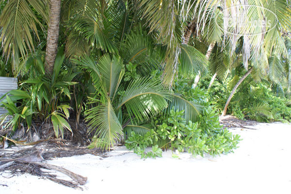 Dhevatara Beach