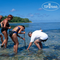 Alphonse Island Resort