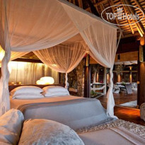 North Island Exclusive