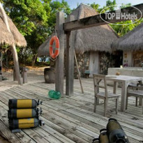 North Island Exclusive