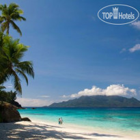 North Island Exclusive