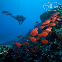 North Island Exclusive