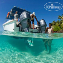 North Island Exclusive