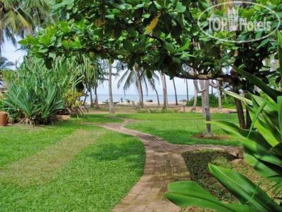 New photos from tourists Sanmali Beach 2*