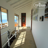 The Ocean Front