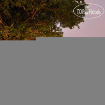 Colombo City Внешний вид