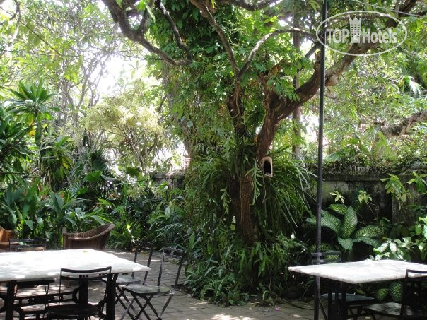 Hotelier's photos The Havelock Place Bungalow 4*
