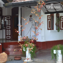 Hiru Villas