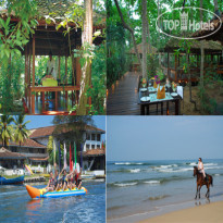 Tropical Villas