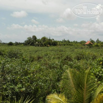 Dhammika Magic Palace 