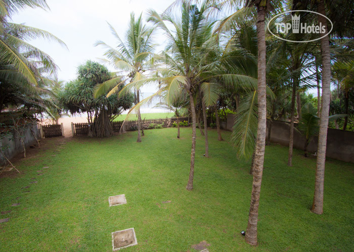 New photos from tourists Villa 700