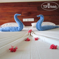 Janus Paradise Rest