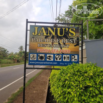 Janus Paradise Rest