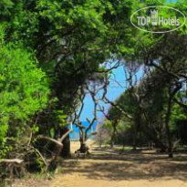 Uga Jungle Beach - Trincomalee  