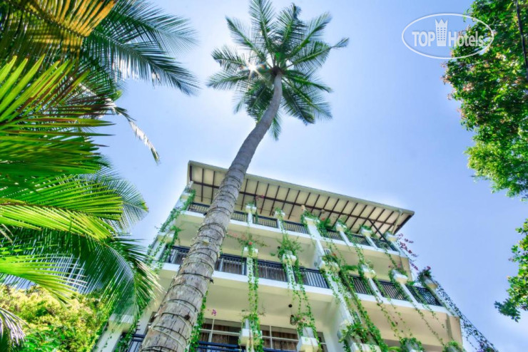 New photos from tourists L&D Stay Inn