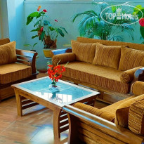 Dream Palace Family Guest House 