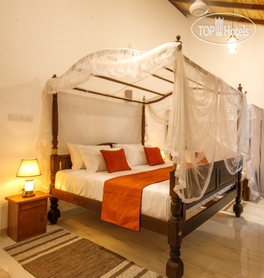 New photos from tourists Mimoza Mirissa