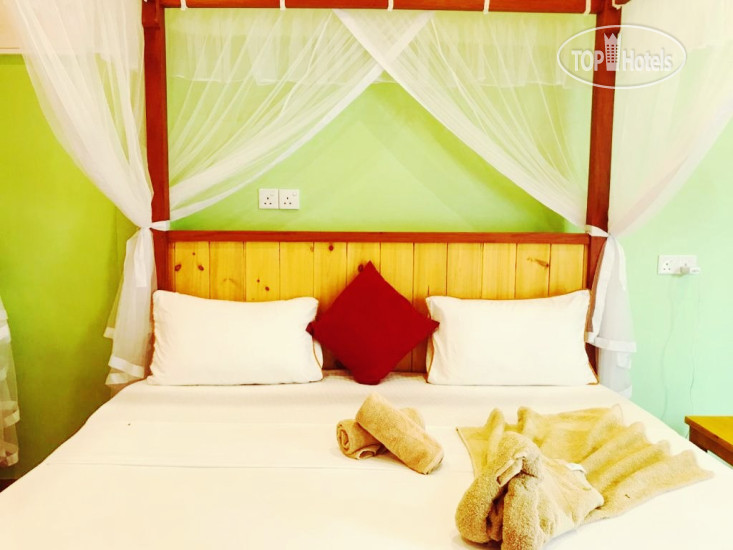 New photos from tourists Anchorage Mirissa 3*