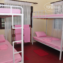 Travel Easy Hostel