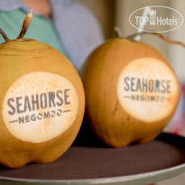 Sea Horse Hotel & Spa 