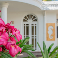 Sea Horse Hotel & Spa 