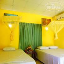 The Nilmini Lodge 