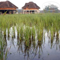 Jetwing Vil Uyana