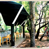 Elephant Corridor