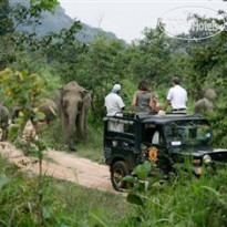 Hotel Sigiriya