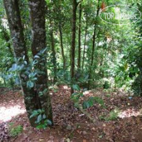 Tropicana Hotel Kandy