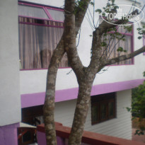 Blossom Rest Home Stay