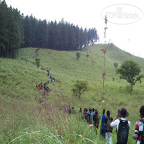 Blossom Rest Home Stay