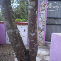 Blossom Rest Home Stay