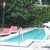 Helga's Folly Hotel 