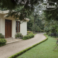 Amaya Bungalow 
